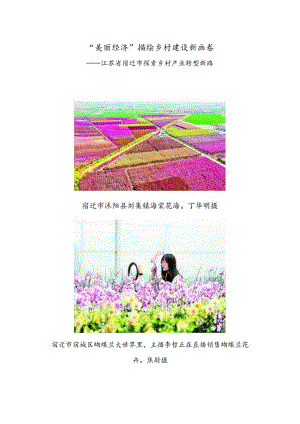 “美丽经济”描绘乡村建设新画卷——江苏省宿迁市探索乡村产业转型新路.docx