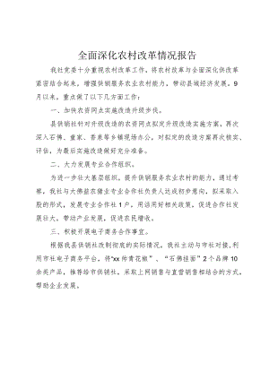 5全面深化农村改革情况报告.docx