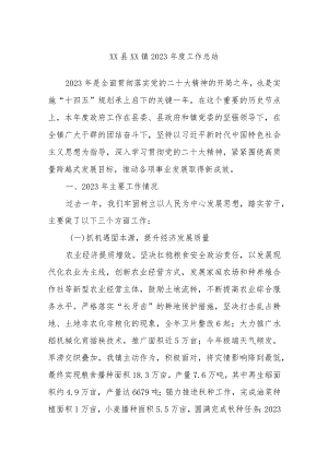 XX县XX镇2023年度工作总结.docx
