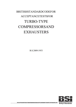 BS2009-1953Codeforacceptancetestsforturbo-typecompressorsandexhausters..docx
