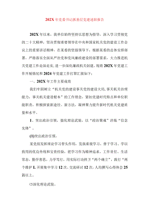2024年最新精编领导干部述学述职述廉述法报告完整版202X年党委书记抓基层党建述职报告.docx