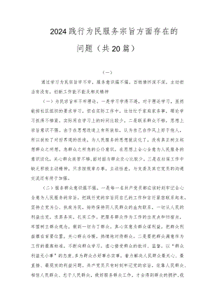 2024践行为民服务宗旨方面存在的问题(共20篇).docx