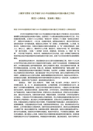 2篇学习贯彻《关于做好2023年全面推进乡村振兴重点工作的意见》心得体会、发言稿（精选）.docx