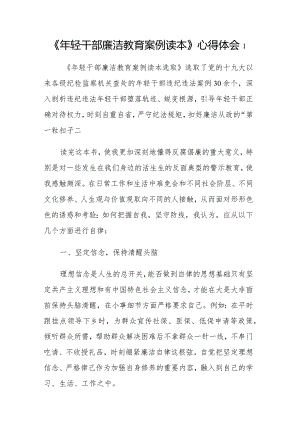 《年轻干部廉洁教育案例读本》学习感悟心得体会范文10篇.docx