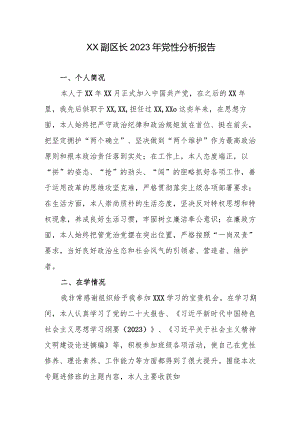 XX副区长2023年党性分析报告.docx