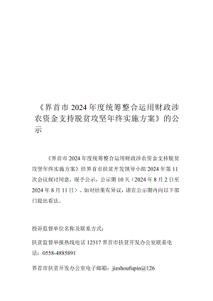 《界首市2024年度统筹整合使用财政涉农资金支持脱贫攻坚年.docx