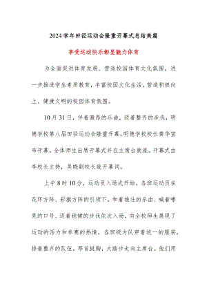 2024学年田径运动会隆重开幕式总结美篇.docx