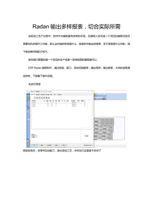 Radan多样报表输出切合实际所需.docx