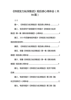 《持续发力纵深推进》观后感心得体会(精选16篇汇编).docx