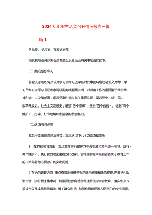 2024年组织生活会召开情况报告三篇.docx