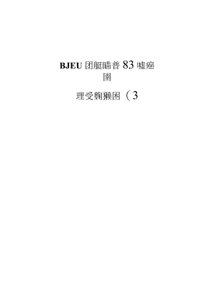 BJEU双旋流高效燃烧器说明书.docx