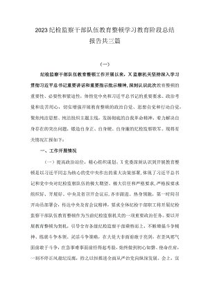 2023纪检监察干部队伍教育整顿学习教育阶段总结报告.docx