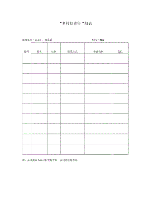 “乡村好青年”统计表.docx
