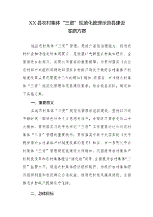 XX县农村集体“三资”规范化管理示范县建设实施方案.docx