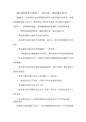 XX局领导班子落实“一岗双责”情况报告范文.docx