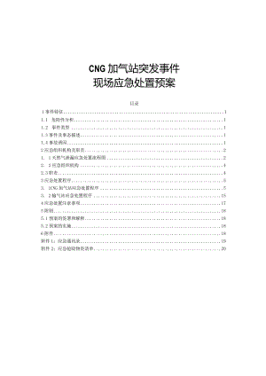 CNG加气站现场应急处置预案.docx