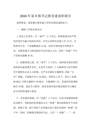 2024年某乡镇书记抓党建述职报告.docx