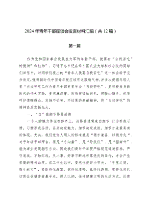 2024年青年干部座谈会发言材料汇编（共12篇）.docx