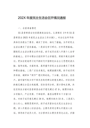 202X年度民主生活会召开情况通报.docx