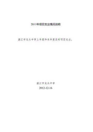 ××年项目支出情况说明（范本）.docx