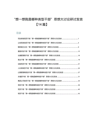 “想一想我是哪种类型干部”思想大讨论研讨发言【14篇】.docx