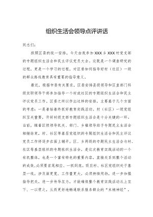 2023组织生活会领导点评讲话.docx