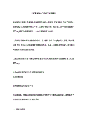2024尿酸结石的病理生理基础.docx