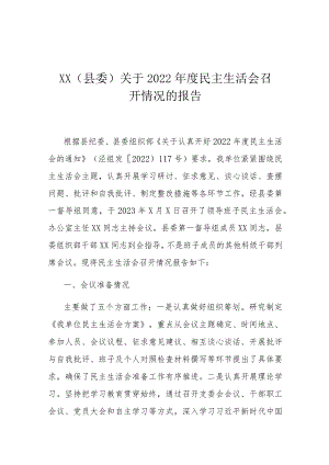 XX（县委）关于2022年度民主生活会召开情况的报告.docx