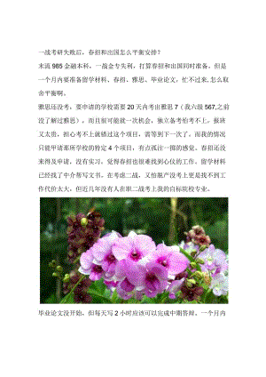 一战考研失败后春招和出国怎么平衡安排？.docx