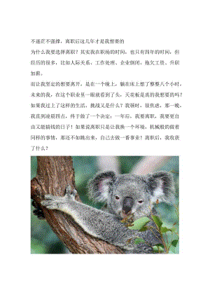 不迷茫不强撑离职后这几年才是我想要的.docx