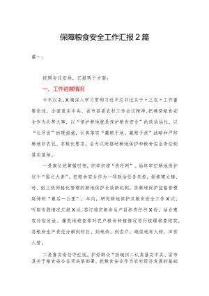 保障粮食安全工作汇报2篇.docx