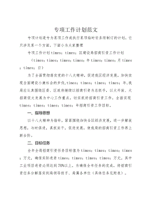 专项工作计划范文.docx