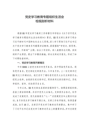 党史学习教育专题组织生活会班子检视剖析材料.docx