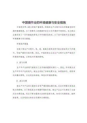 中国镁作业的环境健康与安全措施.docx