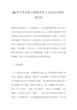 【精品公文】Xx审计局党组主题教育民主生活会对照检查材料.docx