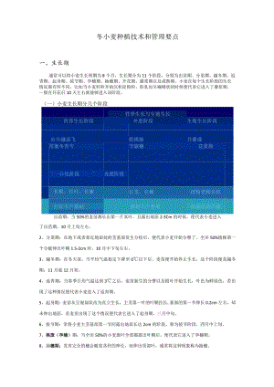 小麦种植和管理技术要点.docx