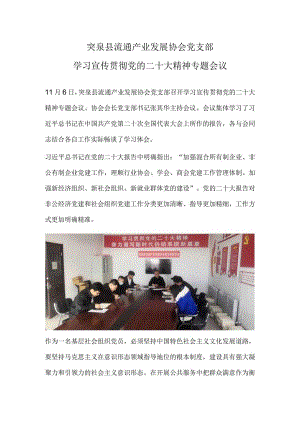 【精品】突泉县流通产业发展协会党支部.docx