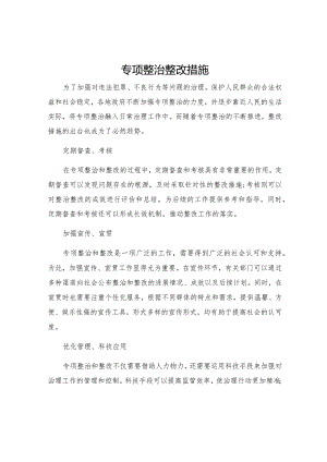 专项整治整改措施.docx