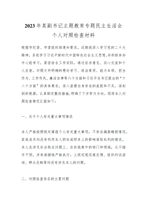 【精品公文】2023年某副书记主题教育专题民主生活会个人对照检查材料.docx
