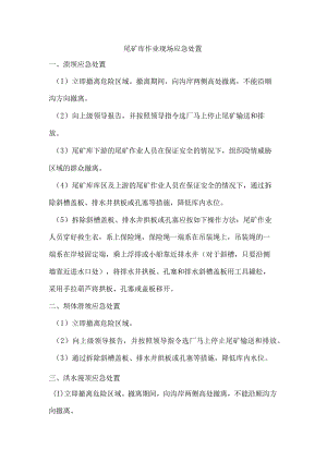 尾矿库作业现场应急处置.docx