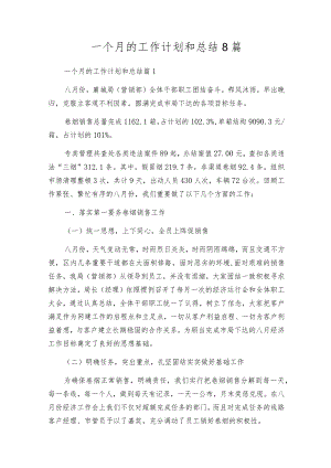 一个月的工作计划和总结8篇.docx