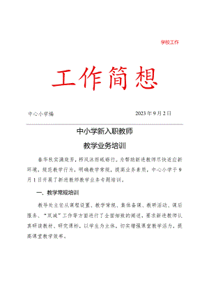 中小学新入职教师培训简报.docx