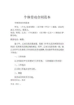个体劳动合同范本.docx