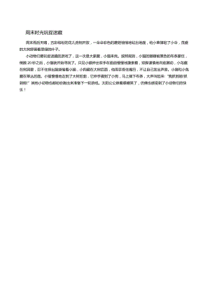 周末时光玩捉迷藏.docx