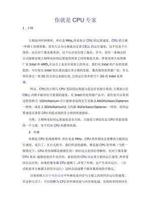 你就是CPU专家.docx