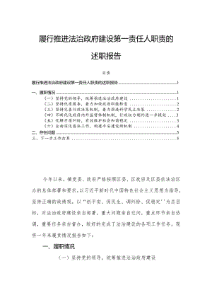 履行推进法治政府建设第一责任人职责的述职报告.docx