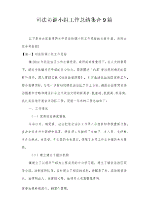 司法协调小组工作总结集合9篇.docx