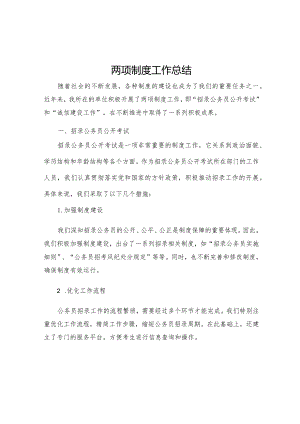 两项制度工作总结.docx