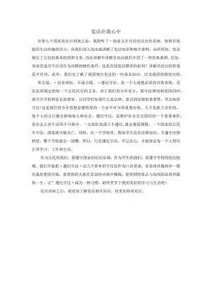 【精品】《宪法在我心中》班会心得体会.docx