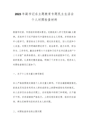 【精品公文】2023年副书记在主题教育专题民主生活会个人对照检查材料.docx